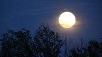RITUALURI de Lună Plină. Profită de energia Lunii Pline şi schimbă-ţi viaţa cu ŞAPTE sfaturi practice şi de efect (sursa foto: Flickr)