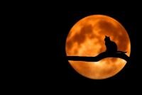 Luna Recoltei aduce toate emoţiile la suprafaţă. La ce să ne aşteptăm de la Luna Plină din septembrie (sursa foto: Pixabay)
