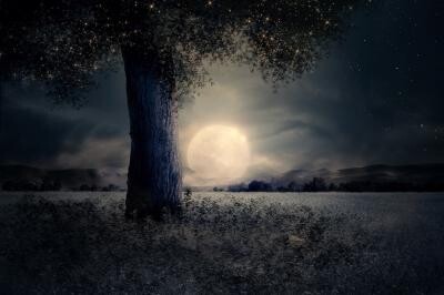Ce vrea Luna Plină din Pești de pe 21 septembrie de la tine? Sursă foto: Pixabay