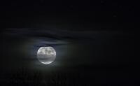 Luna Plină în Berbec va fi puternic resimţită de aceste PATRU zodii. Daniela Simulescu: "Nimeni nu o duce bine în perioada aceasta" (sursa foto: Pixabay)