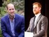 Familia regală britanică, nemulțumită de un documentar despre relația prinților William şi Harry cu presa / Foto: Instagram @dukeandduchessofcambridge / @sussexroyal