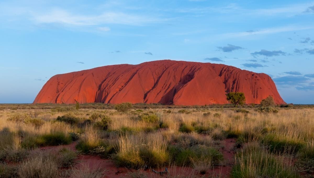 Specii de plante necunoscute au fost găsite pe stânca sacră Uluru din Australia / Foto cu caracter ilustrativ: Pixabay