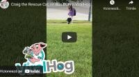 Prietenia dintre o fetiță și pisica ei a devenit virală pe internet / Captură Video ViralHog YouTube