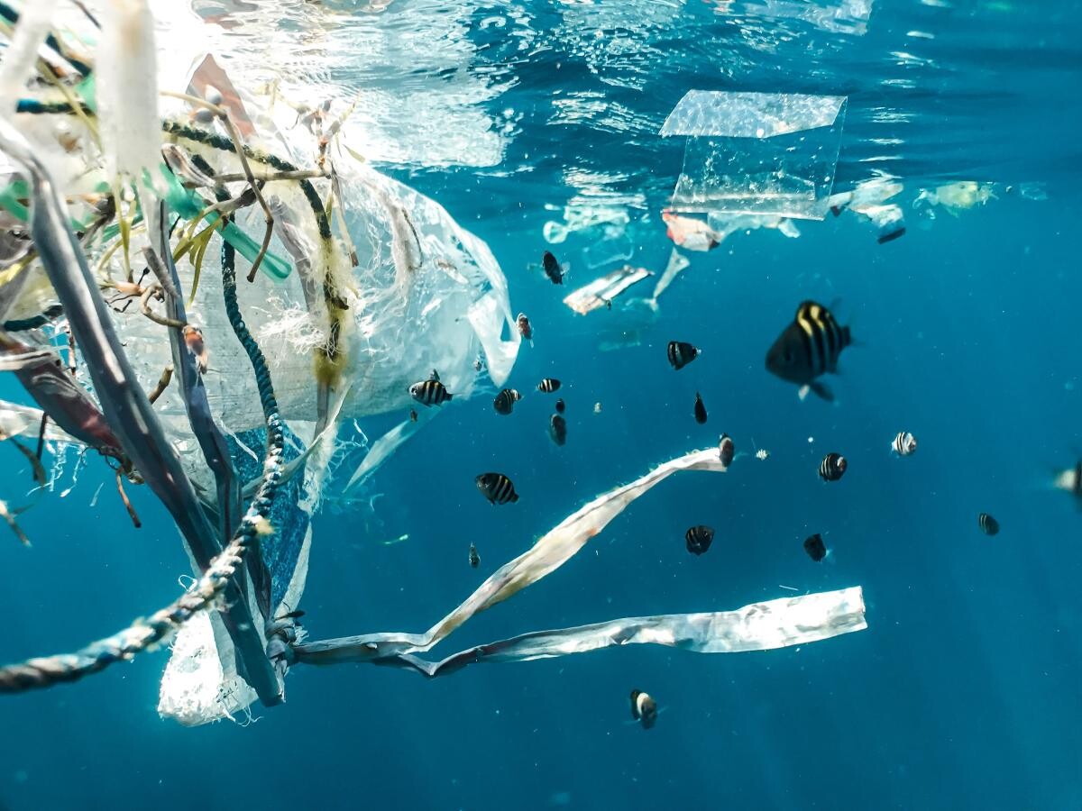 POLUARE: Plasticul prezent pe Pământ depăşeşte de PATRU ori biomasa tuturor animalelor vii (sursa foto: Naja Bertolt Jensen / Unsplash)