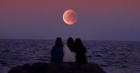 Horoscop Luna Plină în Leu. TOP TREI zodii ÎMPINSE de la spate pe 16 februarie (sursa foto: Max Ravier / Pexels)